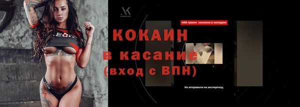 прущие грибы Баксан
