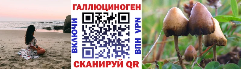 Галлюциногенные грибы MAGIC MUSHROOMS  Высоковск 